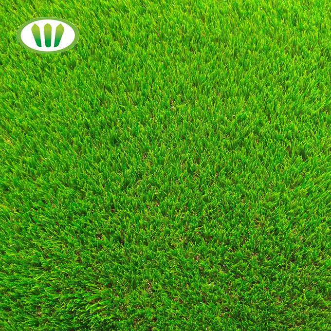 fals herba verda03.jpg