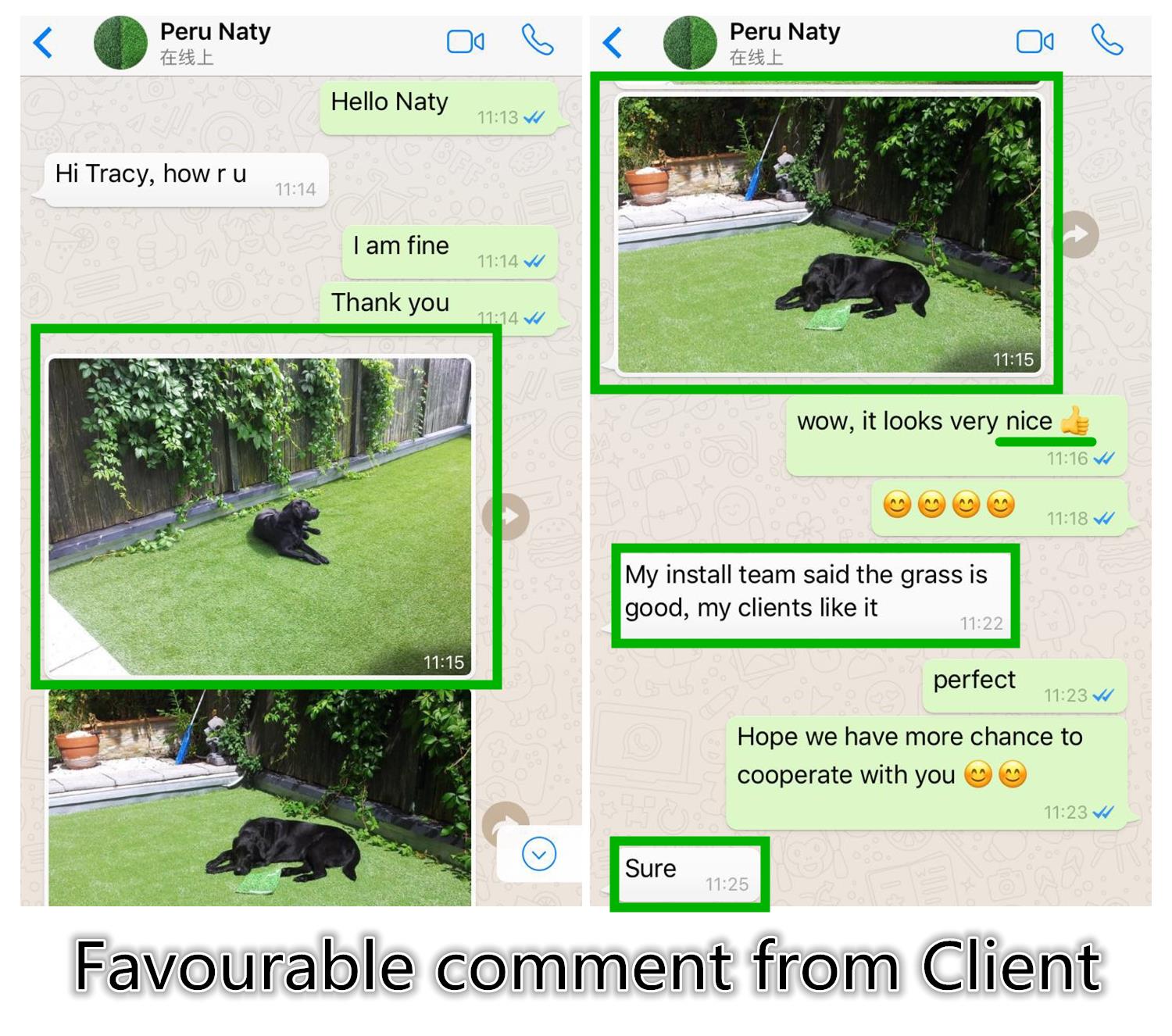 Artificial turf Landscape Grass.jpg