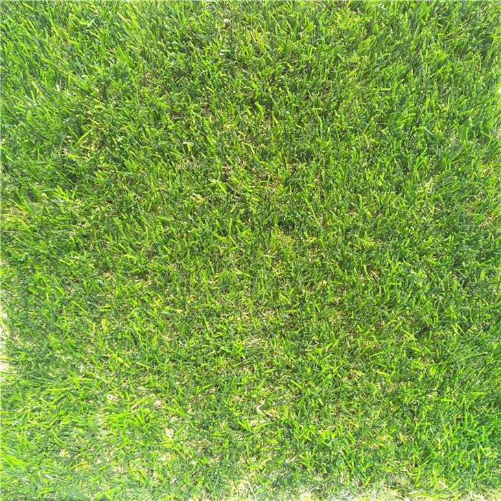 Artificial Green Turf