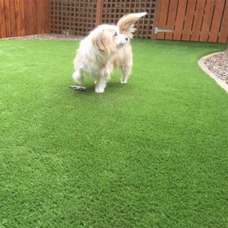 Gespa Verd Artificial