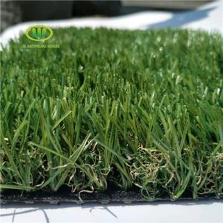 Herba falsa per a pati del darrere