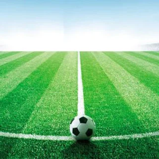 Camp de futbol de Turf