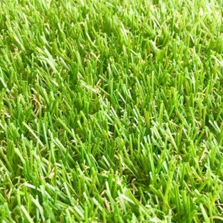 Qualitat de l'herba sintètica