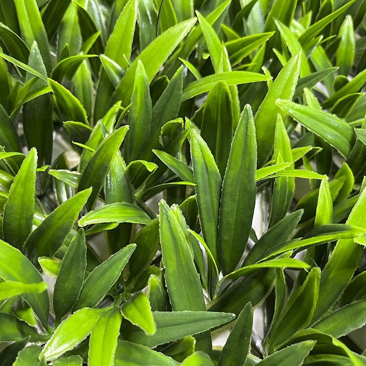 Artificial Hedge Roll