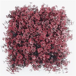 Paret de gespa artificial en forma de flor de prunera