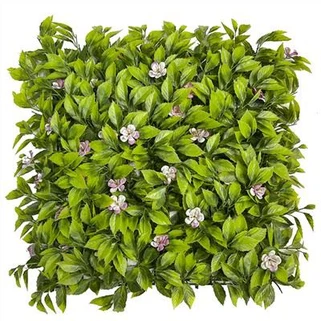 Herba de paret falsa de color groc-verd